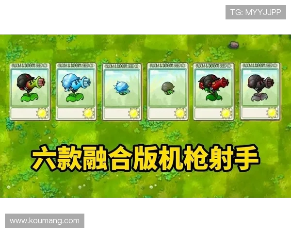 《掌控战场之力 Ruler射手崛起 全新玩法解析与技巧分享》